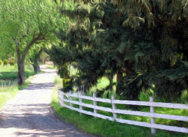 Pullman Country Lane