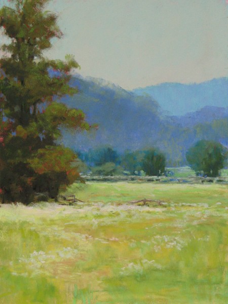 Summer Pasture