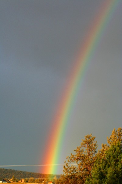 Rainbow Two