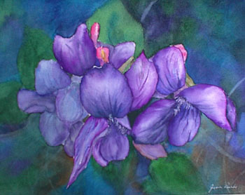 Wild Violets