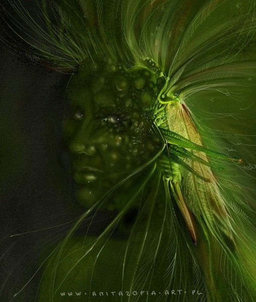 old woman with grasshopper