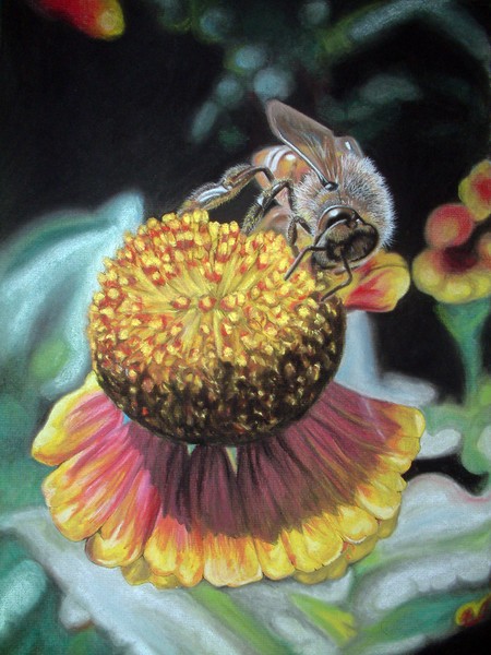 Bee on Flower