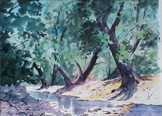 New Mexico Creek 2