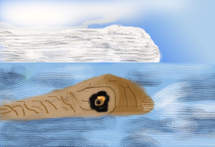 Sea Lion (O760)