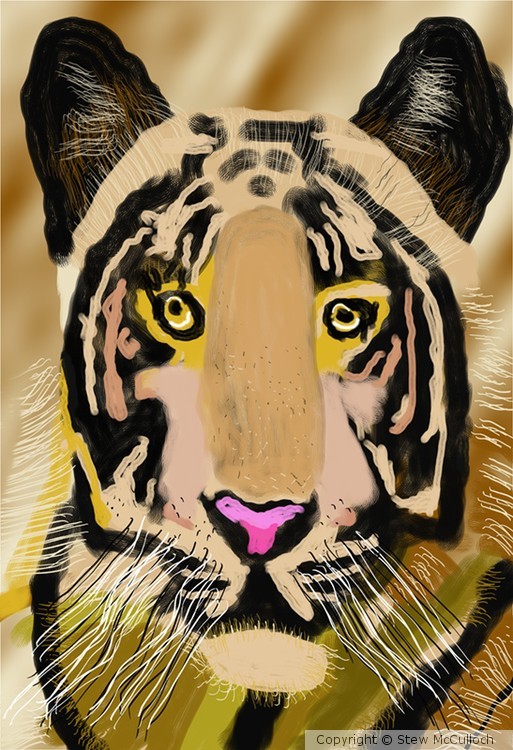 Tiger Portrait