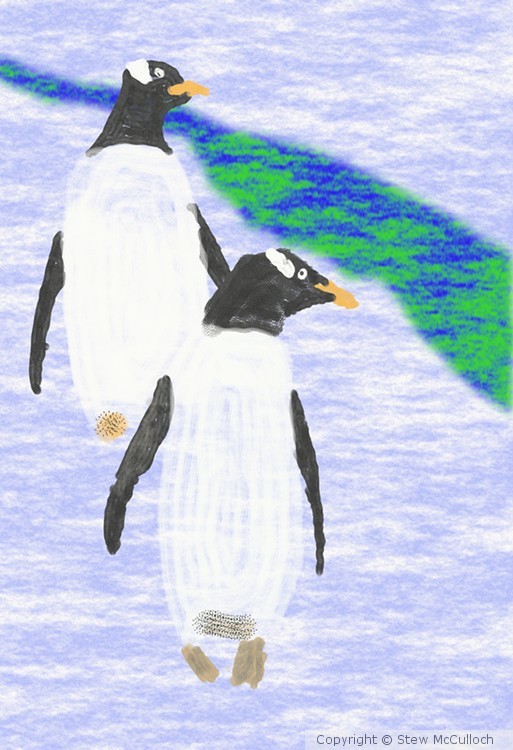 Penguins Walk beside a Crack in the Ice P215