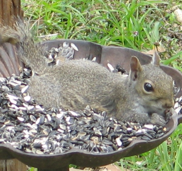 It's mine! all mine!