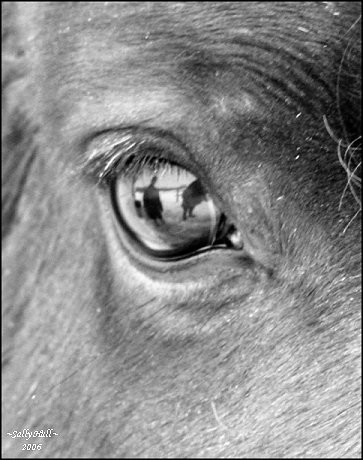 The Eye of the Beholder