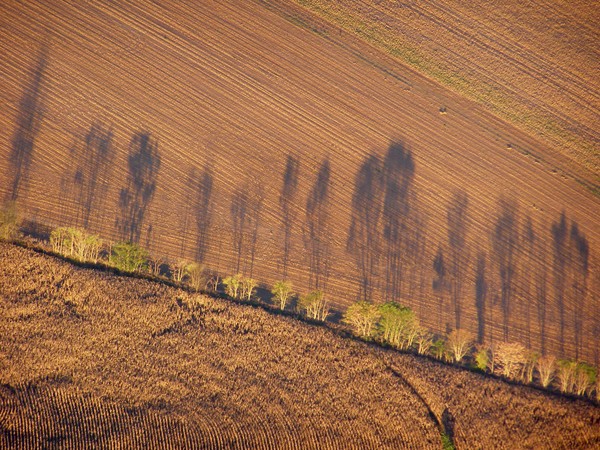 Tree  Shadows  10 28  07