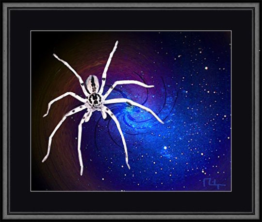 we all are connected to this wide web