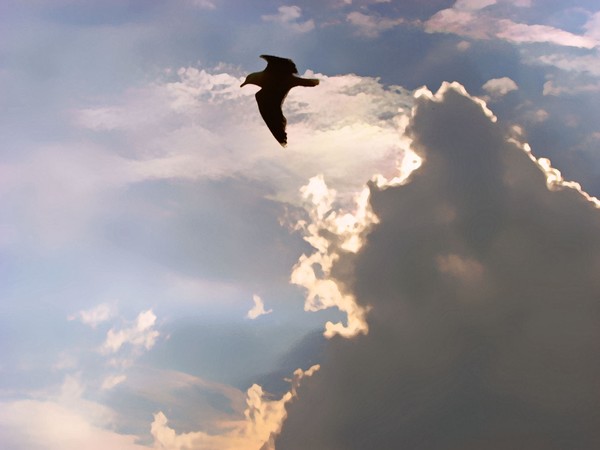 Flight