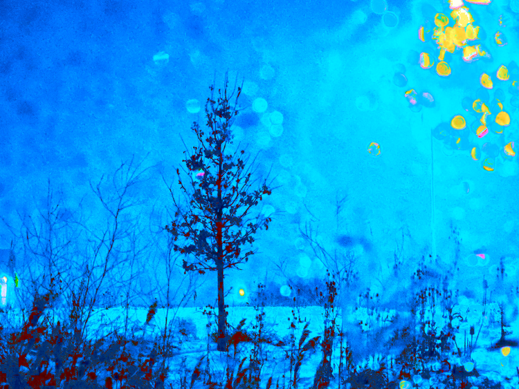 A Cold Winter's Night 
