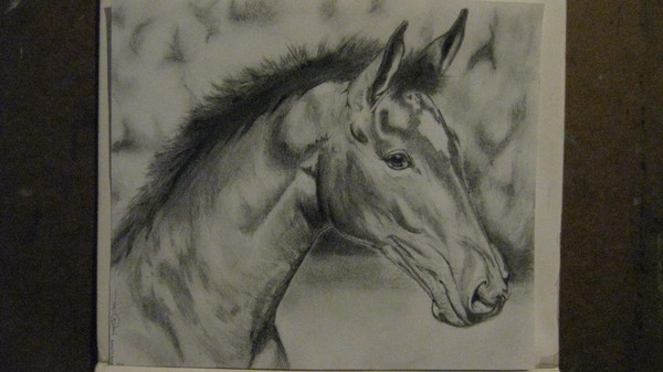 Emily's Horse