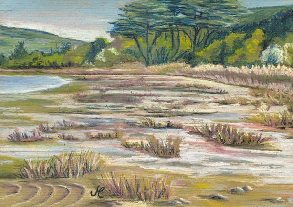 Salt Marshes