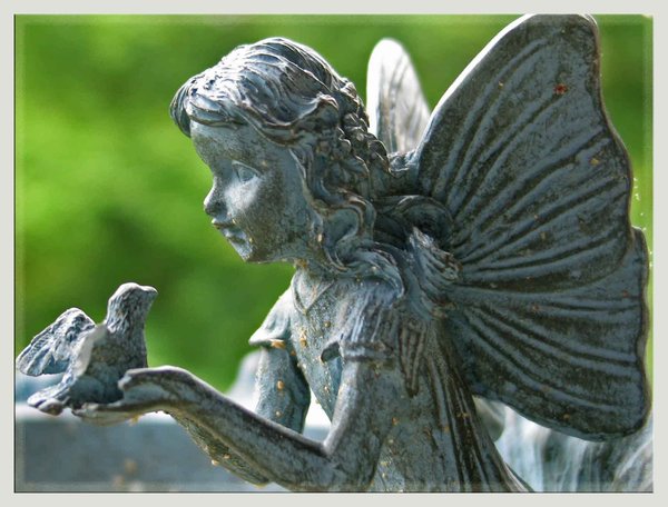 fairy feeder