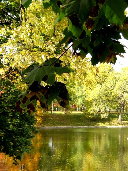 Autumn In The Park (Eleven)
