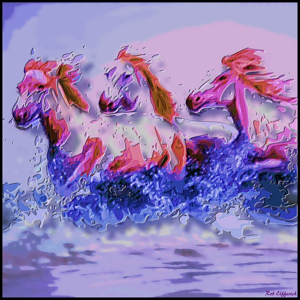 Horses
