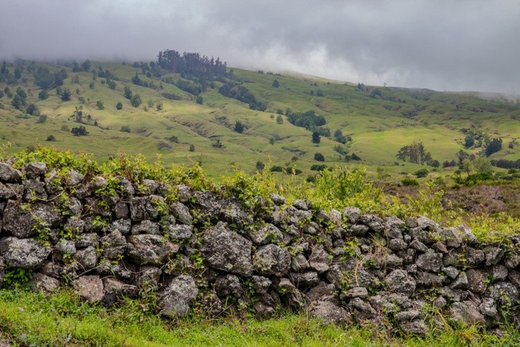 Where the Clouds Meet the Hills — Upcountry Maui