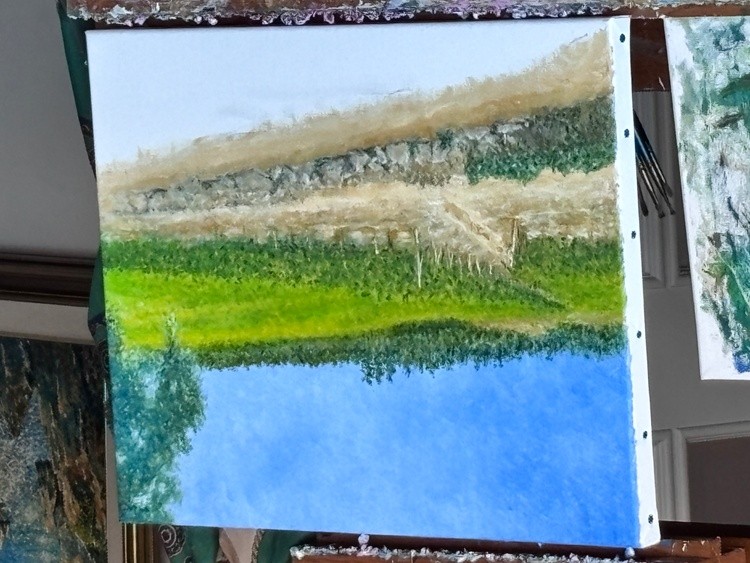 Vinha e Bouça , in progress