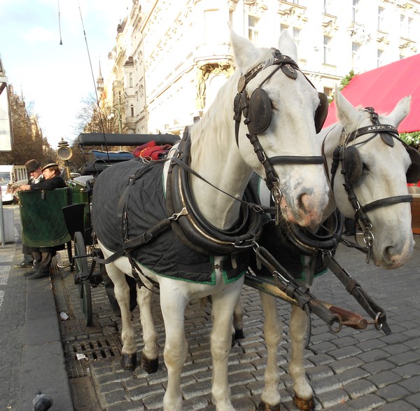 Prague Horses