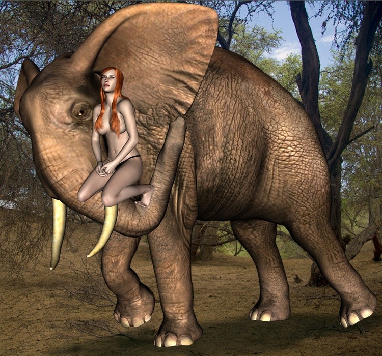 elefante