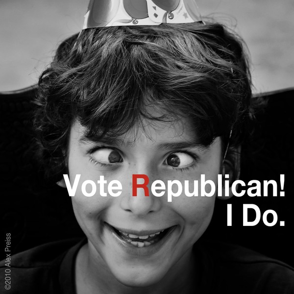 Vote Republican! 8