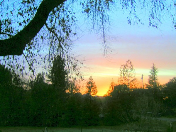 Sunrise in Healdsburg