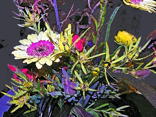 Altered FLowers