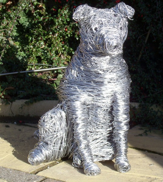 Smooth fox terrier