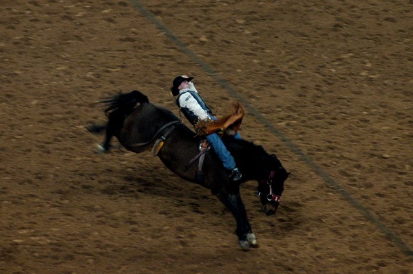 Bronc Rider Blue