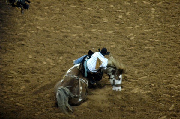 Horse Down