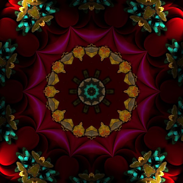 FOLDS MAMDALA 2