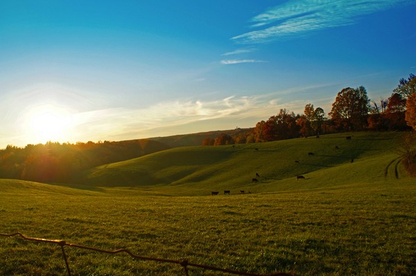 Falling Sun