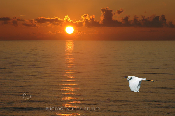 Atlantic Sunrise
