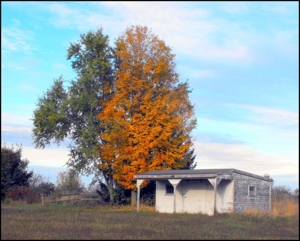 Fall On A Small Farm
