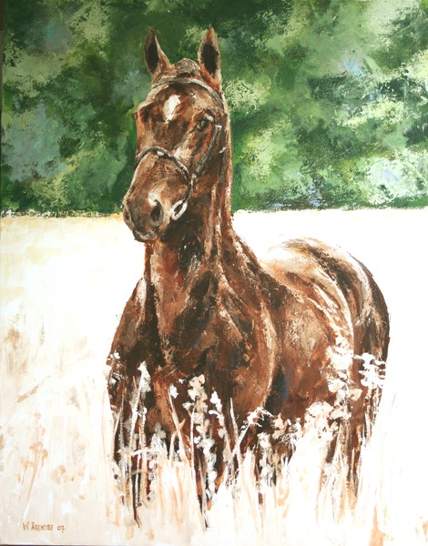 Horse 1