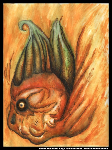 Fruitbat by Shawn McDonald