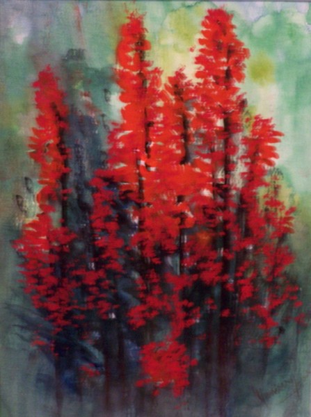 Flower (red plant) USA