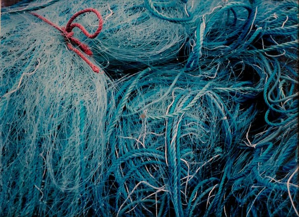 line and net