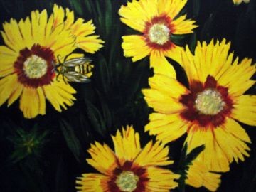 the honey bee
