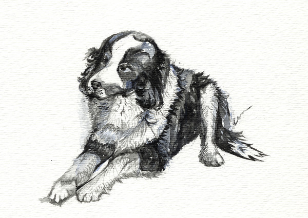 Buster