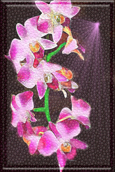 LAVENDER ORCHIDS SOAKING IN DOM PERIGNON by MIGUEL