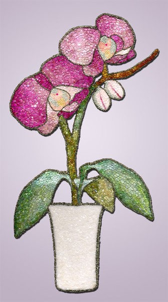 Gemstone Orchid
