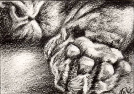 Tiger Paw