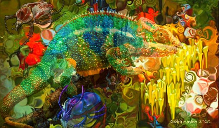 Colorflage * 2020 Kiddolucaslee