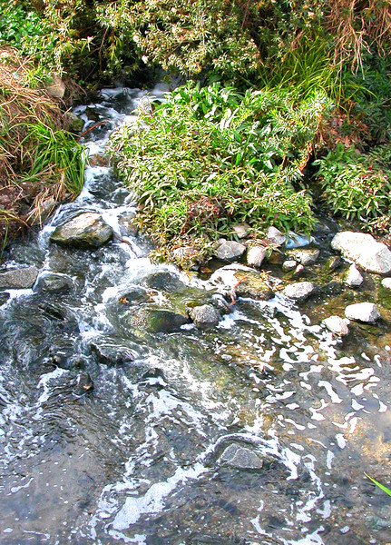 Bubbling Brook