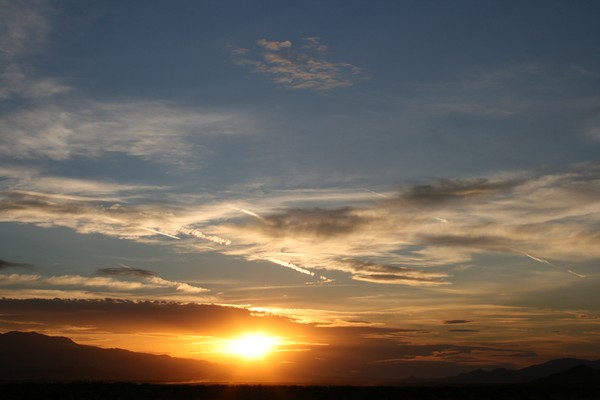 Evening Show  (up close)