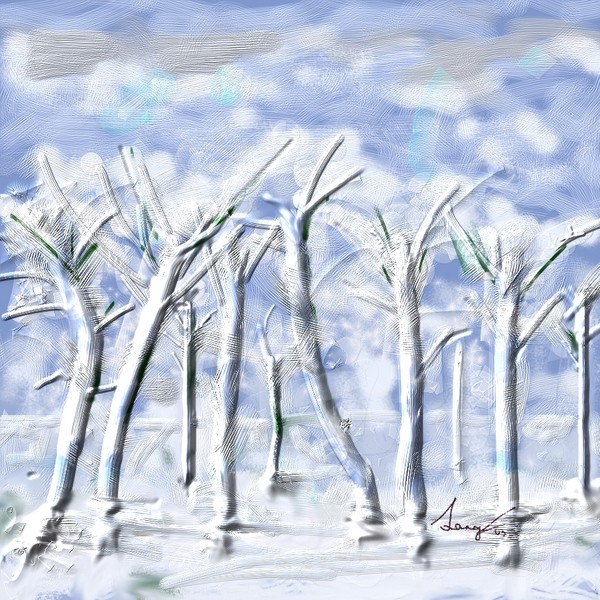 Winter Trees