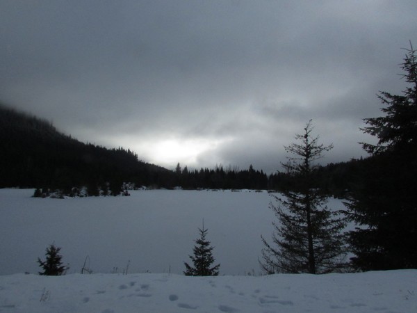 Northwest Winter