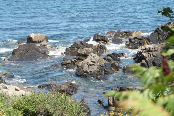 Fort Williams 2